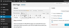 Bing Translator screenshot 5
