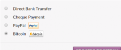 BitPay for WooCommerce screenshot 1