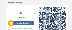 BitPay for WooCommerce screenshot 2