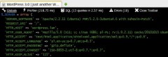 BlackBox Debug Bar screenshot 1