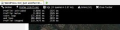 BlackBox Debug Bar screenshot 2
