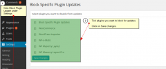 Block Plugin Update screenshot 1