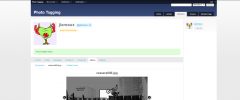 BuddyPress Photos+tags screenshot 2
