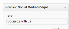 Brankic Social Media Widget screenshot 4