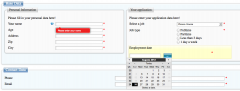 Breezing Forms screenshot 2