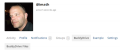 BuddyDrive screenshot 1
