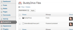 BuddyDrive screenshot 4