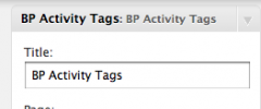 BuddyPress Activity Tags screenshot 1