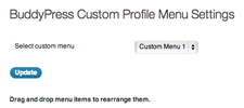 BuddyPress Custom Profile Menu screenshot 2