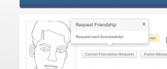 BuddyPress Extended Friendship Request screenshot 2