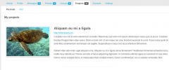 BuddyPress Portfolio screenshot 2