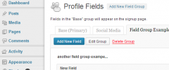 BuddyPress Profile Tabs screenshot 3