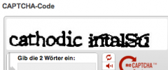 BuddyPress reCAPTCHA screenshot 1