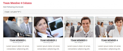 Wordpress Business Plugin screenshot 4
