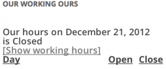 Business Hours Plugin screenshot 6