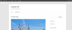 BxSlider WP screenshot 3