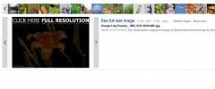 ByREV WP-PICShield screenshot 3