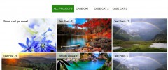 SVG Case Study screenshot 6