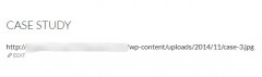 SVG Case Study screenshot 8