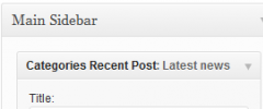 Posts in checked categories screenshot 1