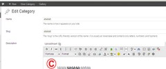 CategoryTinymce screenshot 1