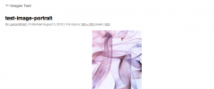 Creative Commons Media Tagger screenshot 1