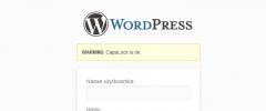 Check Capslock screenshot 1