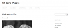 CJTE Black & White Image Effect screenshot 5