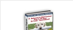 ClickBank Affiliate Ads screenshot 2