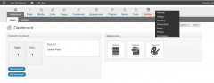 CMS admin area screenshot 1