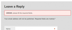 Comment Errors screenshot 2