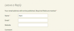 Comment Form Inline Errors screenshot 2