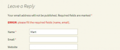 Comment Form Inline Errors screenshot 3