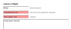 Comment Validation screenshot 2