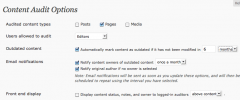 Content Audit screenshot 1
