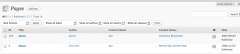 Content Audit screenshot 2