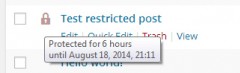 Content Protect By Time Lock screenshot 4