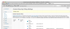 Content Security Policy screenshot 4