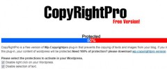 CopyRightPro screenshot 2