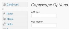 Copyscape Post Checker screenshot 2
