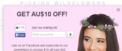 Automatic Lead Generator for WooCommerce screenshot 3