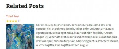 CP Related Posts screenshot 4