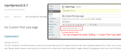 Custom Post type and short code screenshot 1