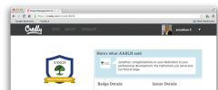 Credly Custom Badge Assertion Shortcode screenshot 2