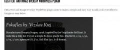 CSS3 Image & Text Overlay screenshot 1