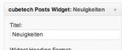 cubetech-posts-widget screenshot 1