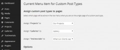 Current Menu Item for Custom Post Types screenshot 1
