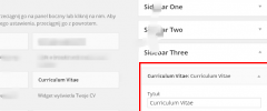 Curriculum Vitae (by osFlake) screenshot 4