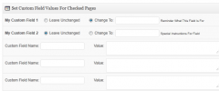 Custom Field Bulk Editor screenshot 3