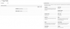 Custom fields screenshot 2